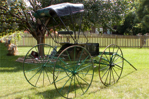 Horse drawn buggy