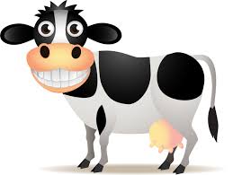 happy cow